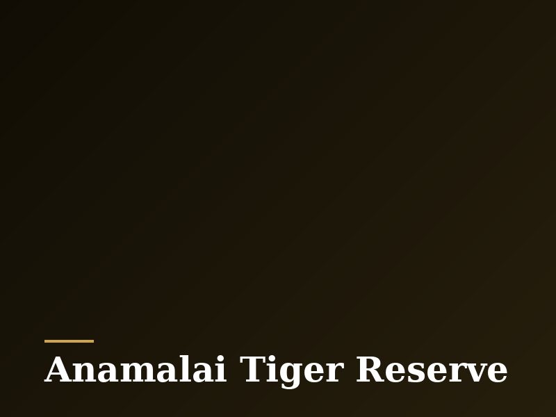 Anamalai Tiger Reserve