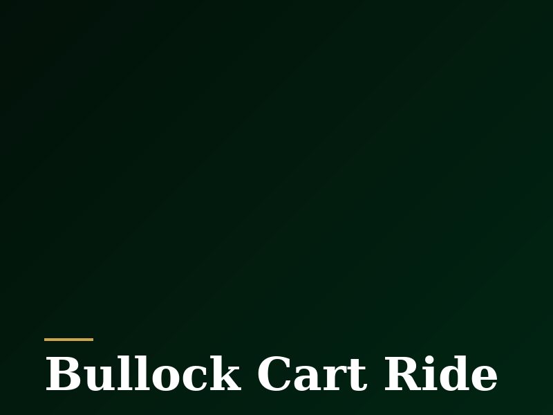 Bullock Cart Ride