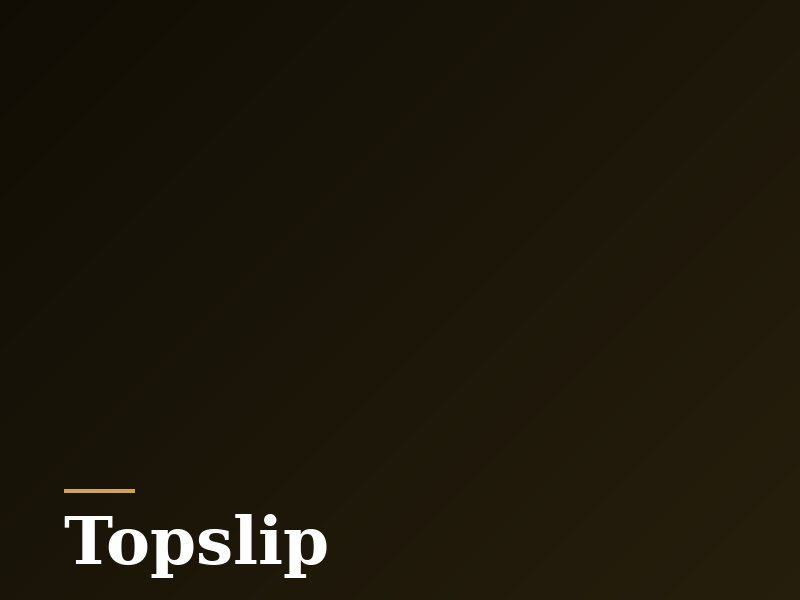 Topslip