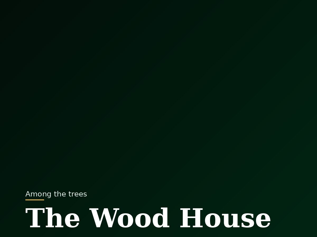 Wood house among the trees