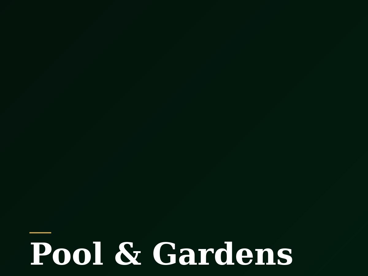 Pool and gardens